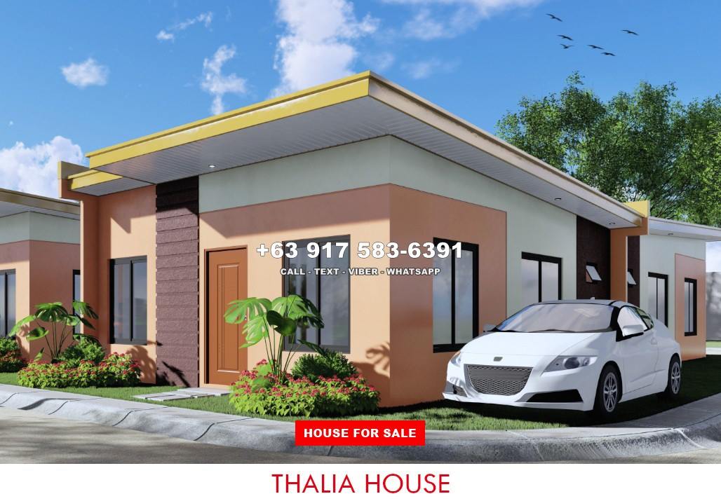 Thalia - Affordable House in Ormoc, Leyte