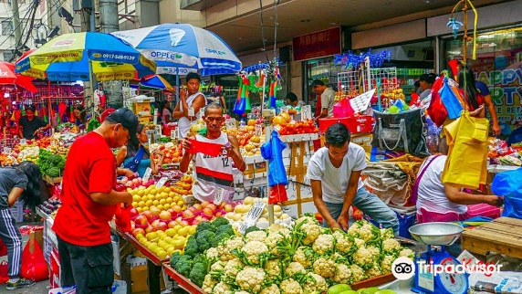 Tennyson Heights Tennyson Heights